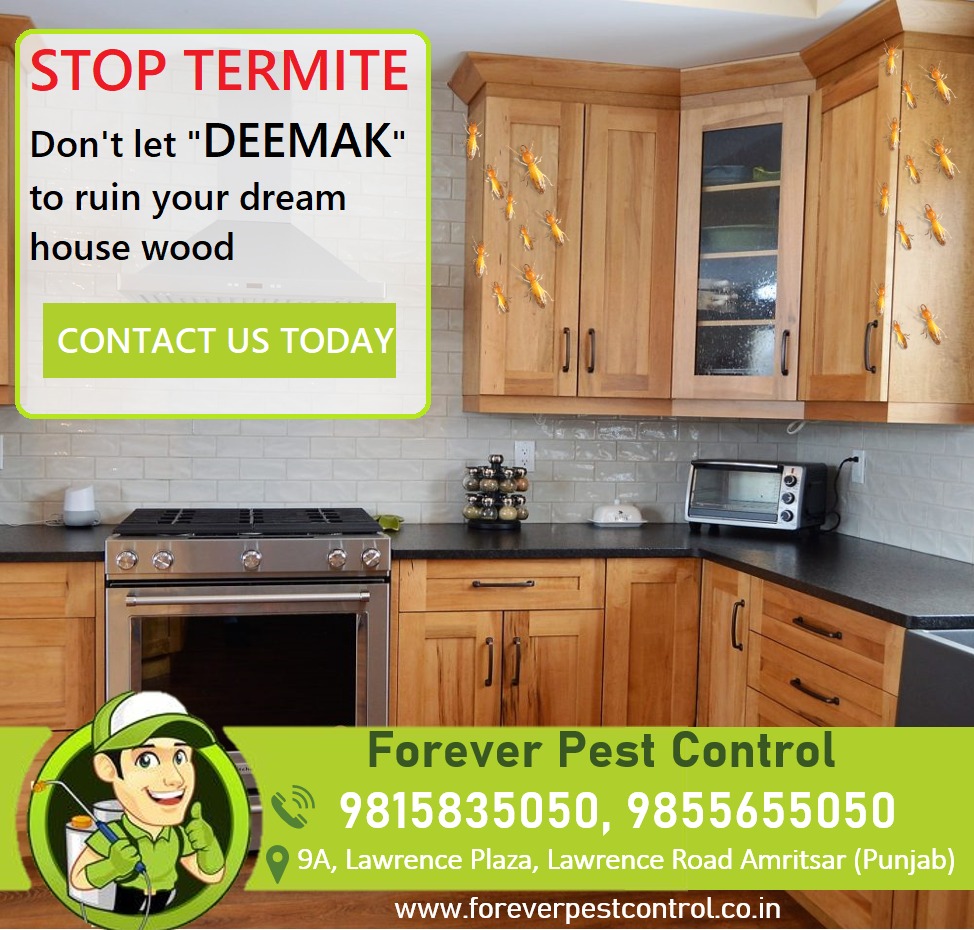 Termite Control